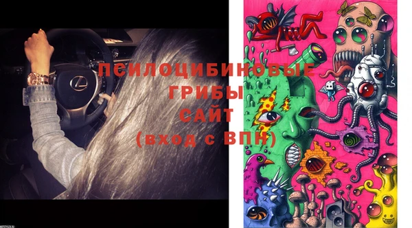 крисы Алзамай