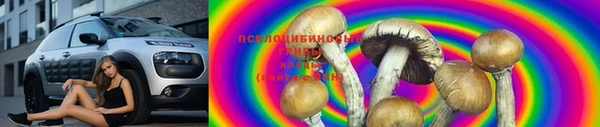 крисы Алзамай