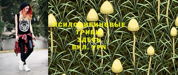 крисы Алзамай